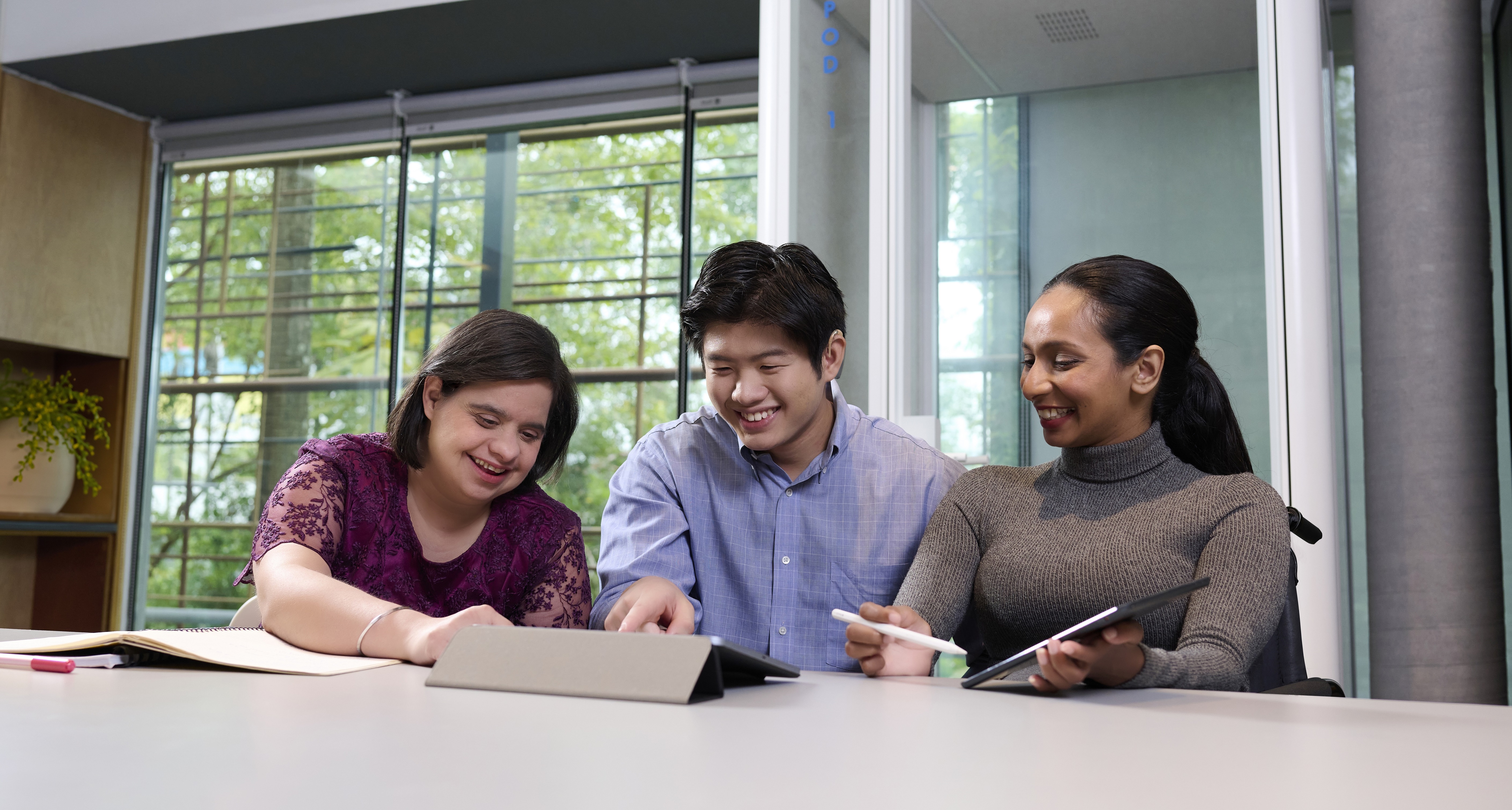 Positive Behaviour Support at the Workplace Positive Behaviour Support at the Workplace