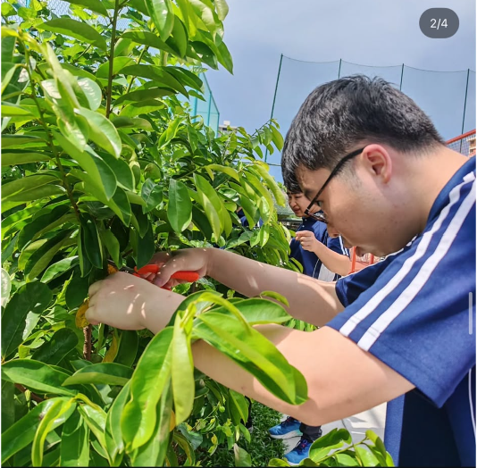 A young man tending to plants.